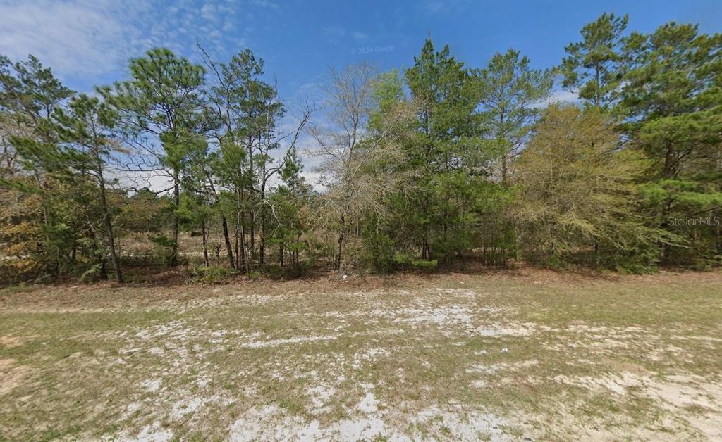 Photo of 1099 Co Hwy 1087, Defuniak Springs, FL 32433 (MLS # A4688428)