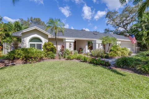 Photo of 1440 Wetherington Way, Palm Harbor, FL 34683 (MLS # TB8436876)