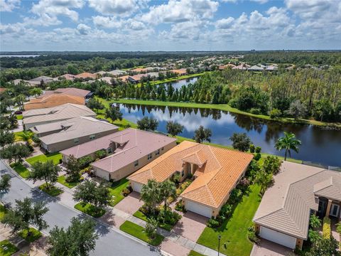 A home in WIMAUMA