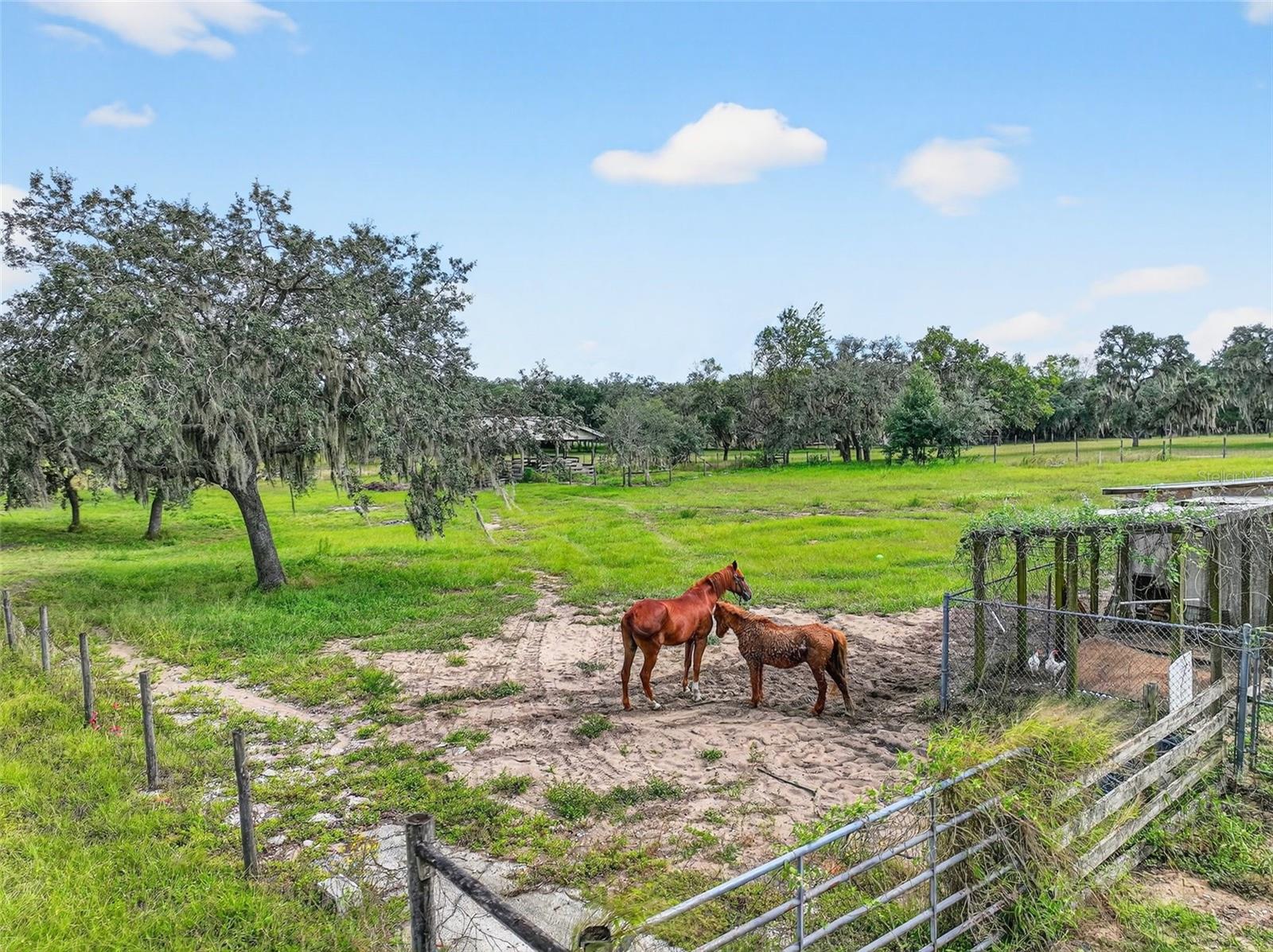 NOT IN SUBDIVISION - Residential