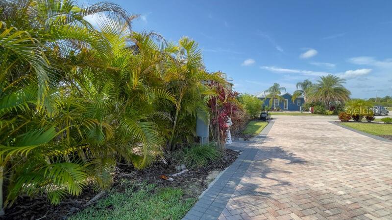 BAY LAKE RESIDENCE - Land