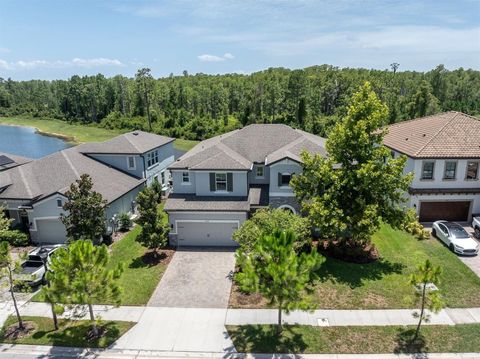 Photo of 11736 Ranchers Gap Drive, Odessa, FL 33556 (MLS # W7887644)