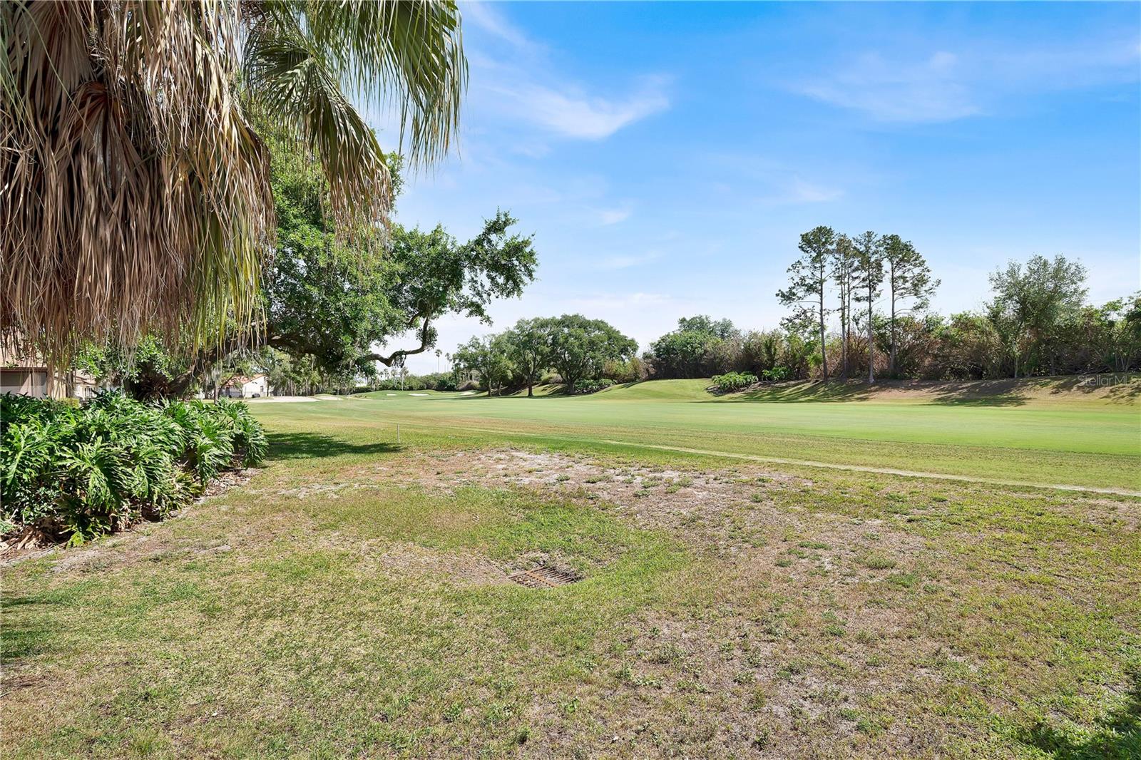 ORANGE TREE COUNTRY CLUB - Residential
