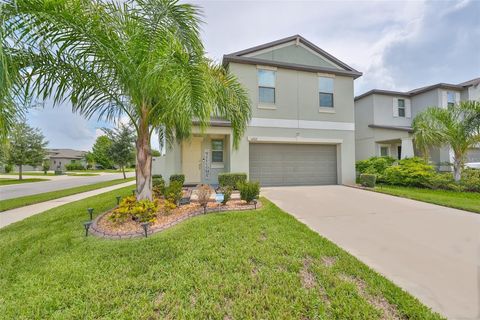 10202 WHITE LINEN AVENUE RIVERVIEW FL 33578