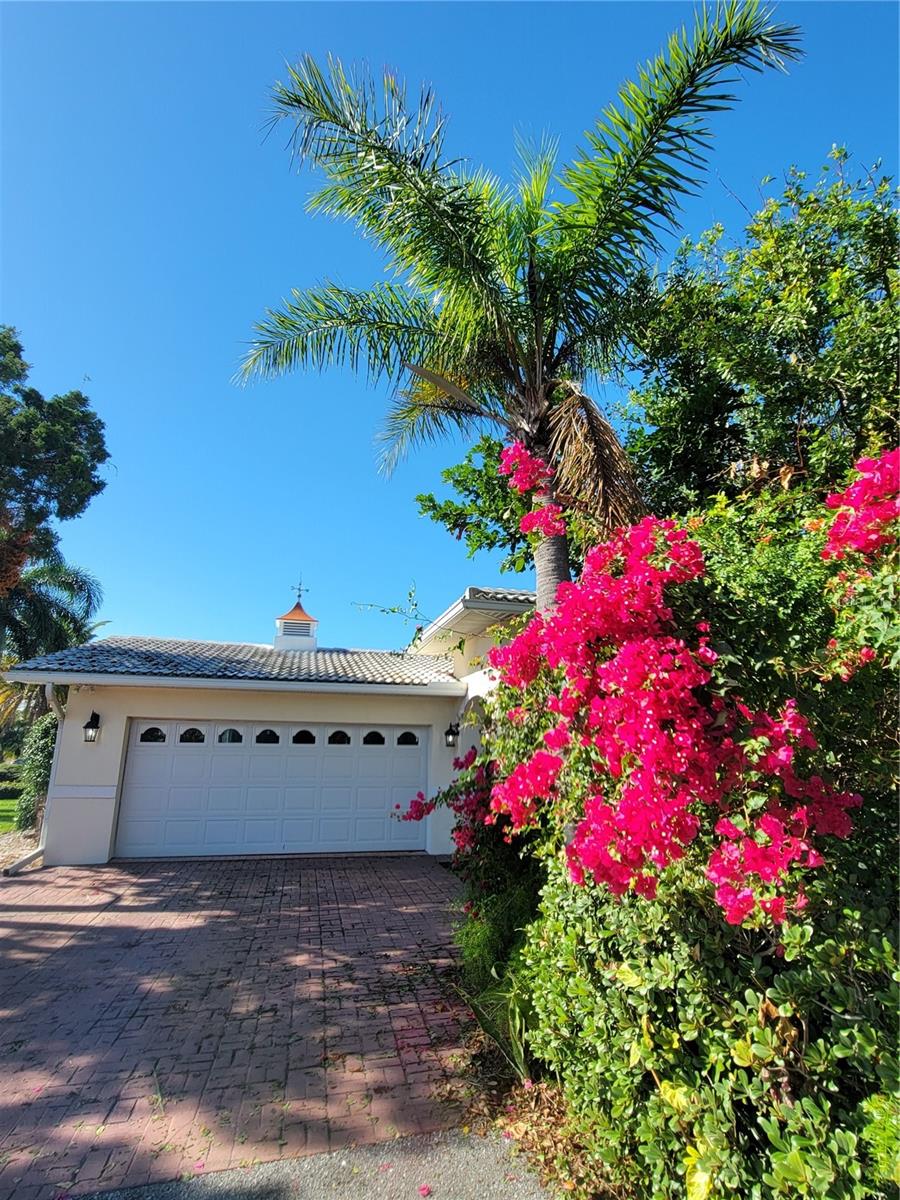 BELLE VISTA SHORES - Residential Lease