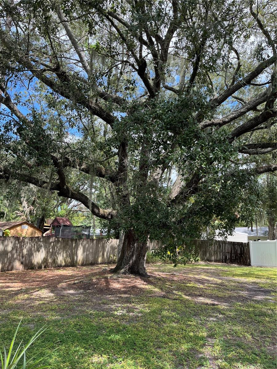 GALLERY GARDENS 4A ADD - Residential