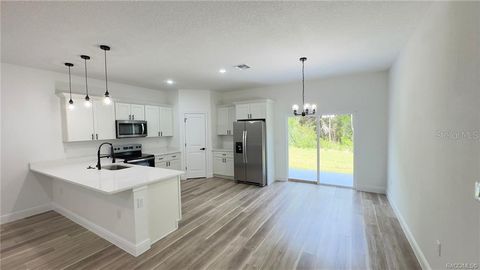 Tiny photo for 8596 N Spartan Drive, Citrus Springs, FL 34433 (MLS # O6406081)