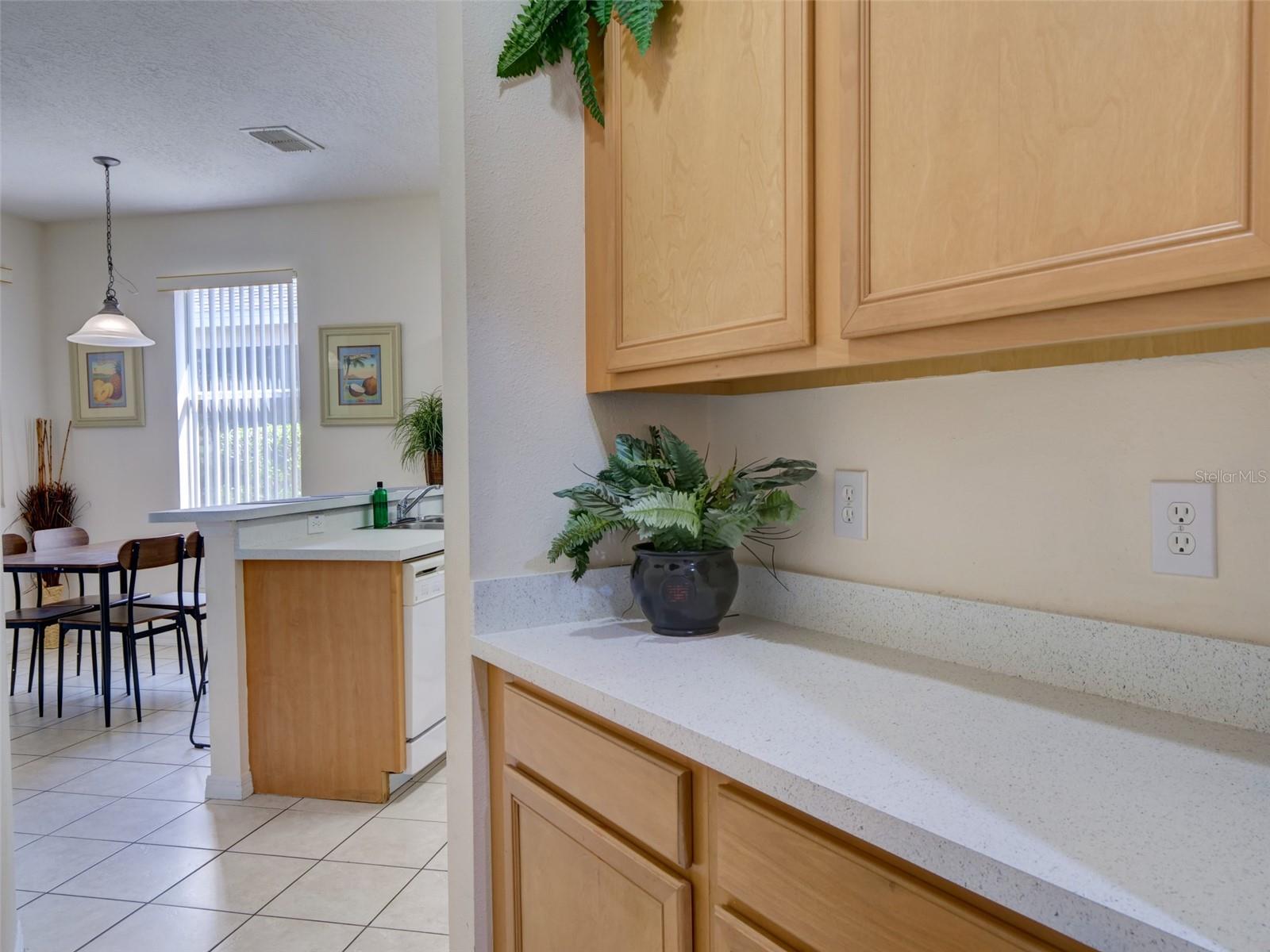 CALABAY PARC AT TOWER LAKE - Residential