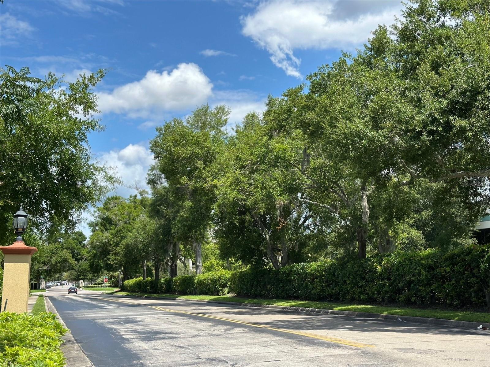 OXFORD SQUARE CONDO - Residential