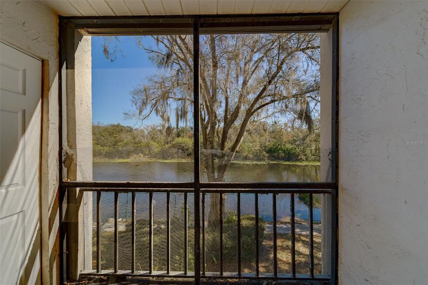 Welcome to this charming 1-bedroom, 1-bath condo located in the heart of Clearwater. Situated on the second floor, this unit offers a peaceful water view from the private balcony overlooking a serene pond—perfect for morning coffee or unwinding after a long day. Ideal as a starter home or a smart investment opportunity, this condo offers excellent potential for cash flow. Conveniently located near shopping, dining, beaches, and major roadways. Don’t miss this affordable opportunity in a prime location!