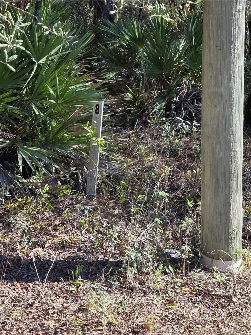 Photo of 1351 R E Byrd Rd, Frostproof, FL 33843 (MLS # K4903152)