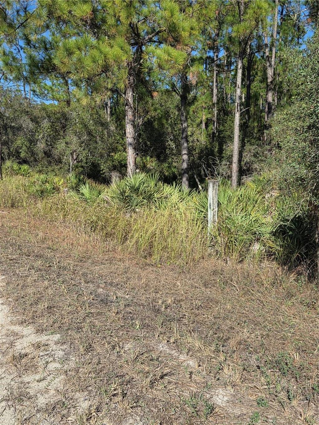 Photo of 1351 R E Byrd Rd, Frostproof, FL 33843 (MLS # K4903152)