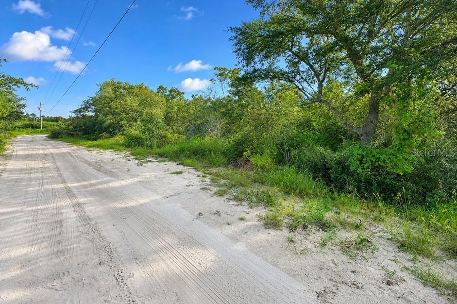 Photo of 43718 Cooter Pond Road, Deland, FL 32720 (MLS # O6436285)