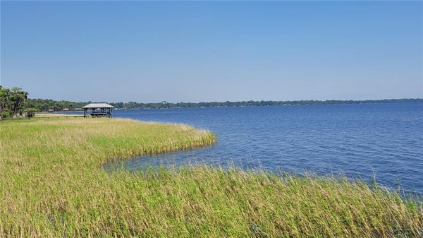 21779 NE 115TH AVENUE, EARLETON, FL 32631 - Image d27b2cee30af12c24c83a39d9f0bc4e5/455970059