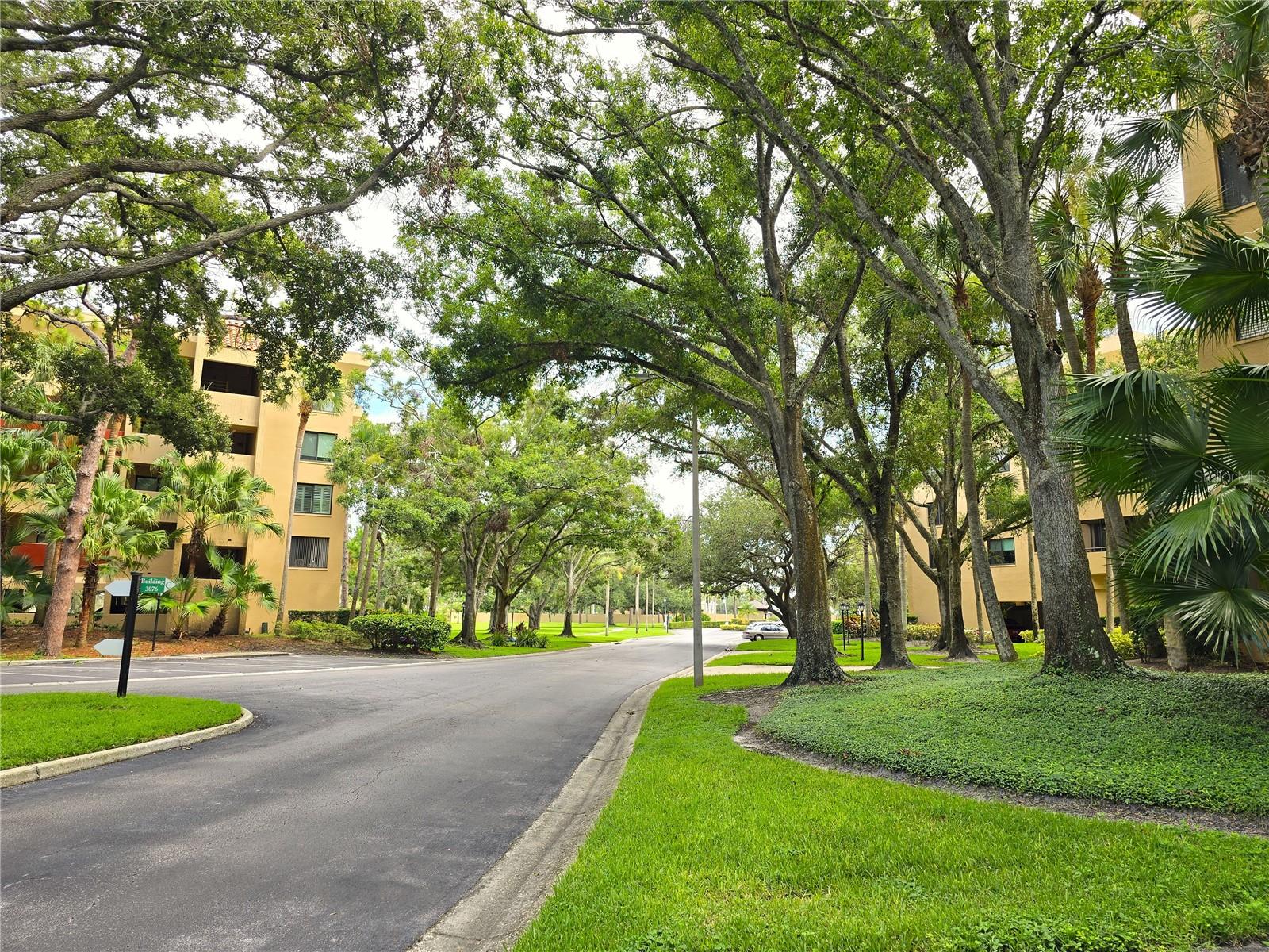 3076 EASTLAND BOULEVARD 106