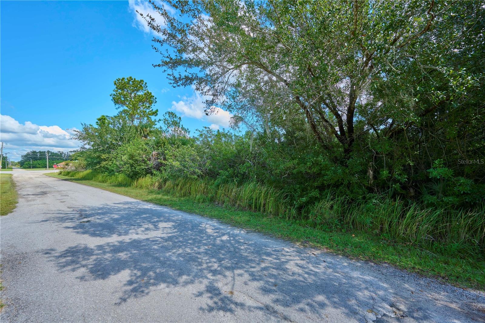 INDIAN LAKE ESTATES - Land