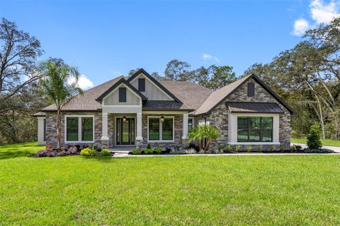 Photo of 17545 Lippizan Lane, Hudson, FL 34667 (MLS # TB8487998)