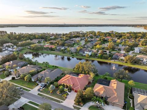 A home in PALM HARBOR