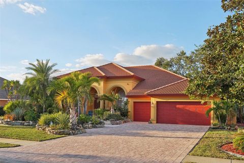 A home in PALM HARBOR