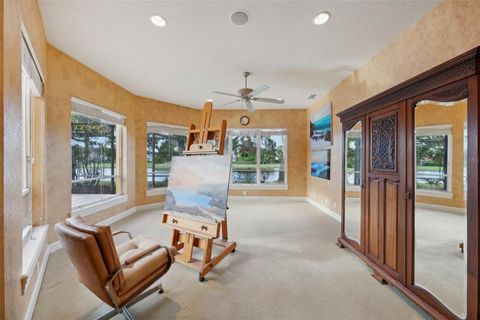 A home in PALM HARBOR