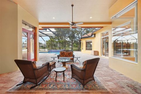 A home in PALM HARBOR