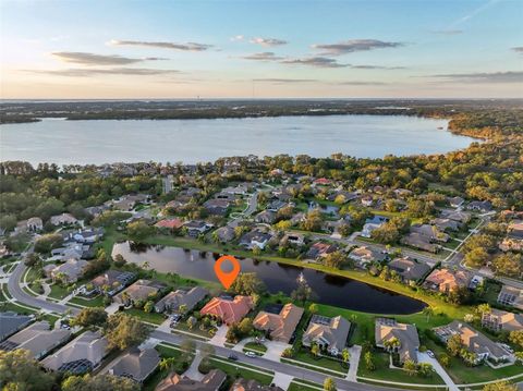 A home in PALM HARBOR