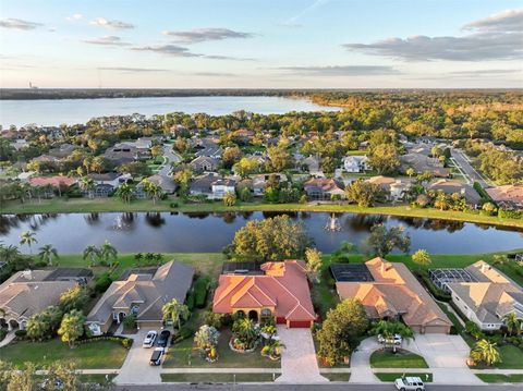 A home in PALM HARBOR