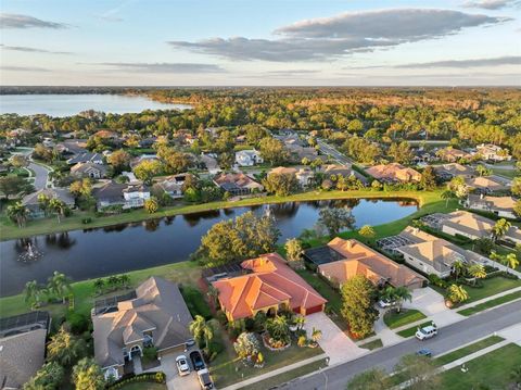 A home in PALM HARBOR