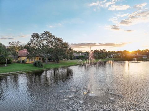 A home in PALM HARBOR