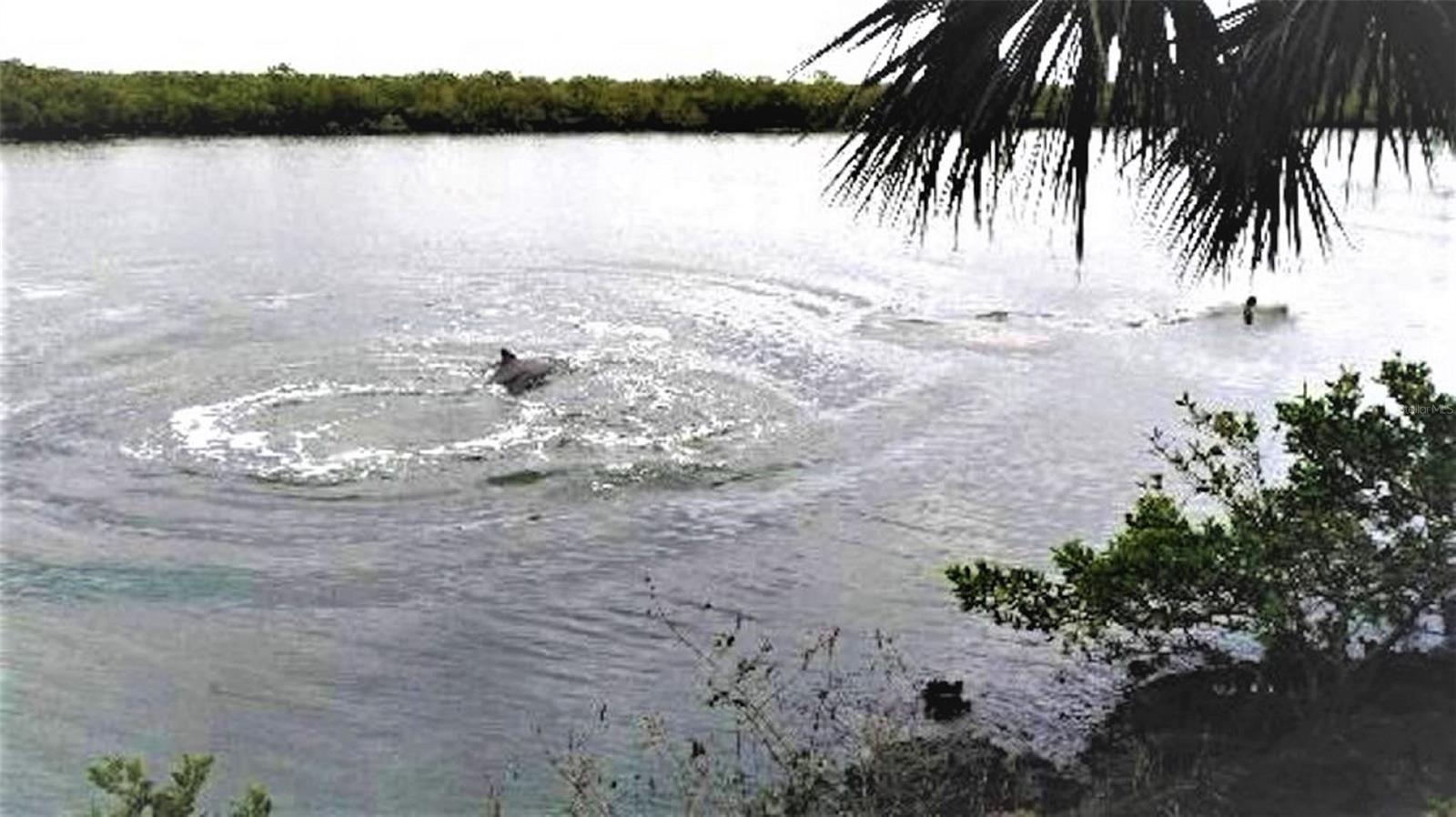 Riverwalk Condo - Residential