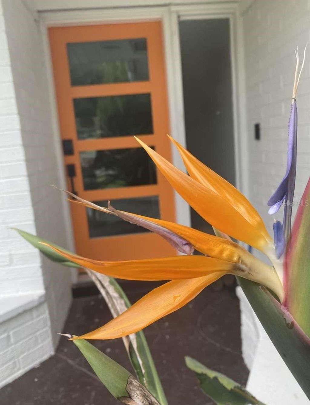 Photo of 812 E 13th Avenue, New Smyrna Beach, FL 32169 (MLS # TB8474418)