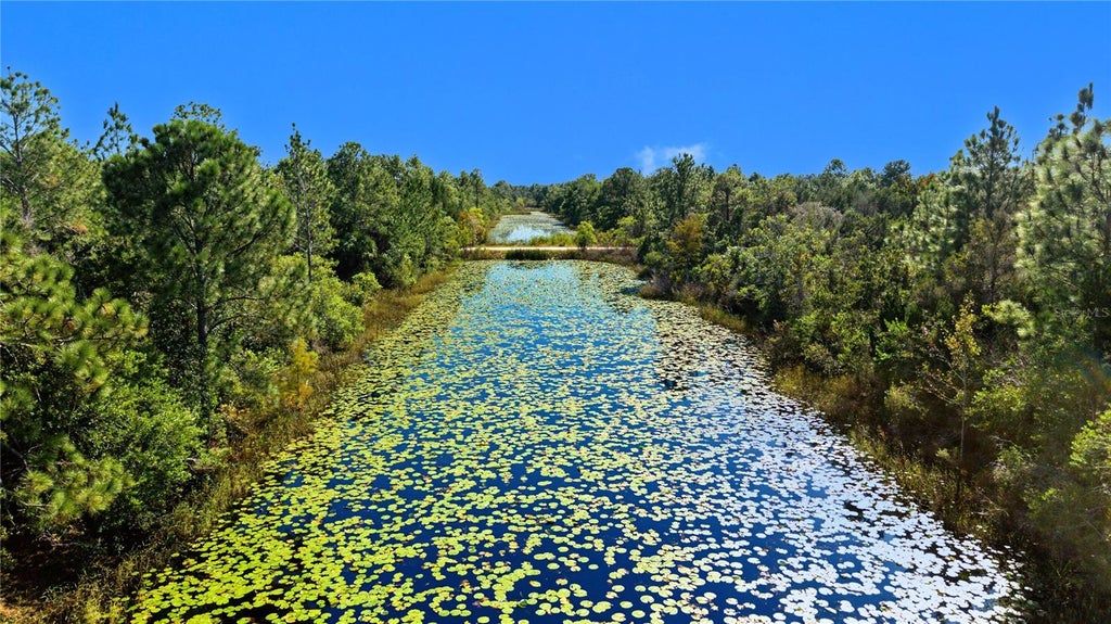 Photo of 18182 Rapidan Road, Weeki Wachee, FL 34614 (MLS # TB8560767)