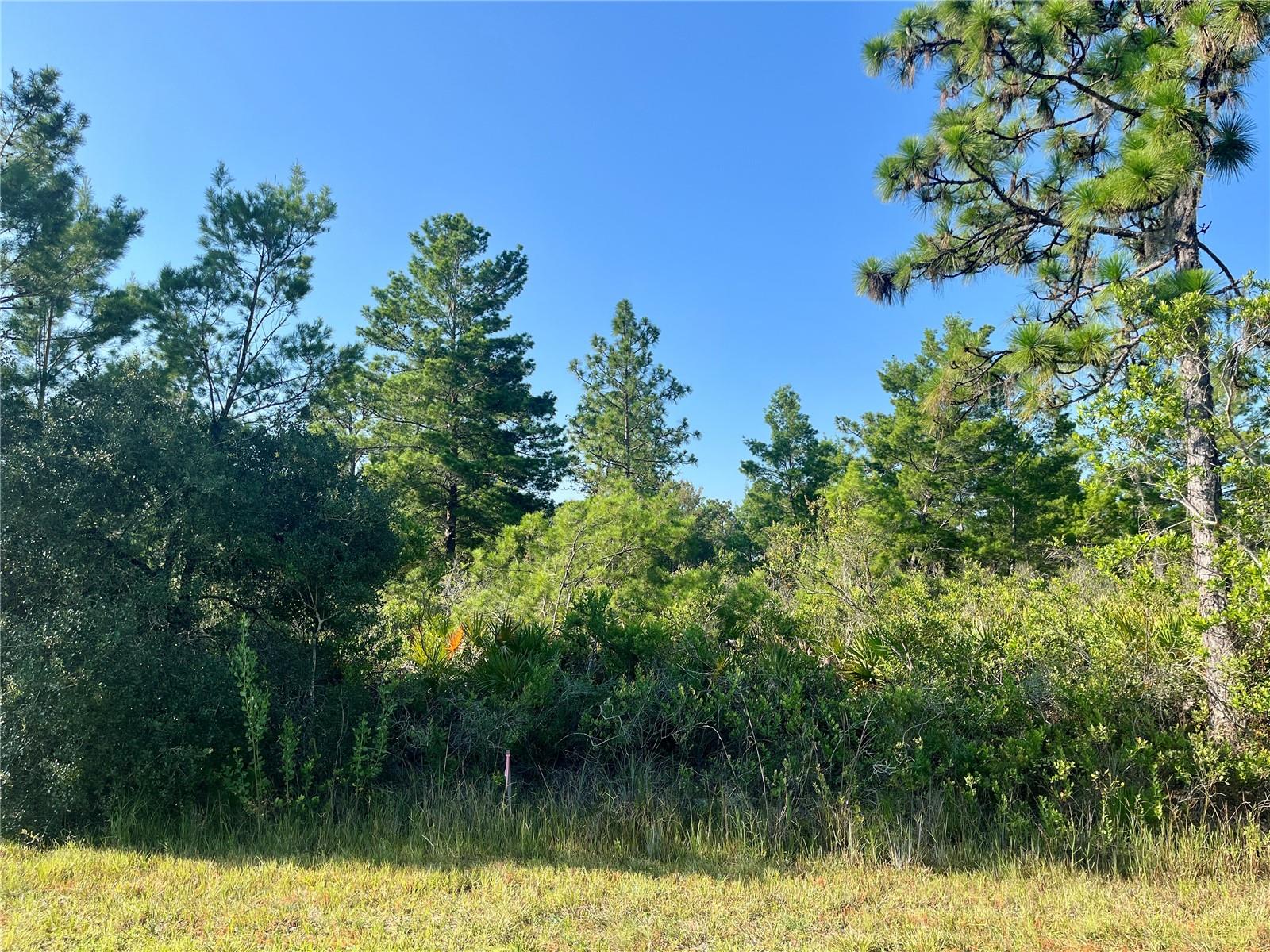 Country living at its finest on this half acre lot in this gated custom home community!! Come be apart of the growing community of ILE. Once you come through the gates you feel right at home. It’s perfectly located, with less than an hour drive to Vero Beach, one hour drive to Orlando International Airport, and 1.5 hours to Tampa. Close to the big cities and still far enough to enjoy your privacy. Bring your boat, rv, and come enjoy Florida’s best kept secret. With access to one of the best bass fishing lakes in Florida and one of the largest docks to enjoy the sunset and fishing on, you’ll be sure to enjoy the relaxing country lifestyle. There’s even an 18 hole golf course with club house open to the public and a 9 hole par 3 walking course private for community members, fitness center, library, ballroom that hosts weekly community events, and bar & grill within the community. There are established custom home builders in the community or you can bring your own to build your custom dream home. This lot is unique compared to most of the community as it is apart of the small portion of homes in the neighborhood as it is one of the rare lots that does NOT require a well as its connected to city water.