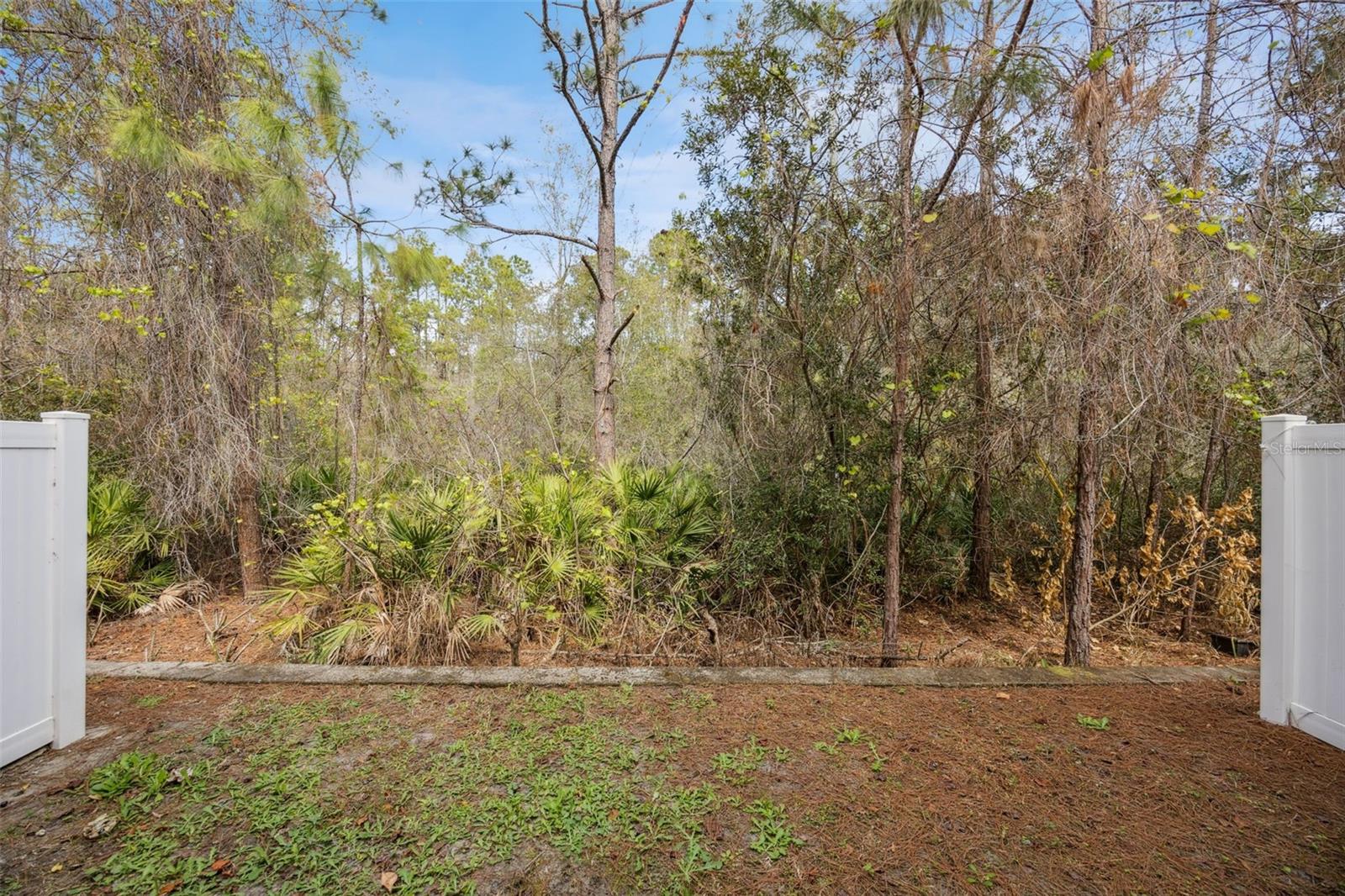 OASIS COVE II/LAKESIDE VILLAGE PH - Residential