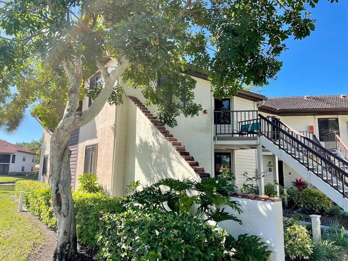 SHOREWALK - Residential