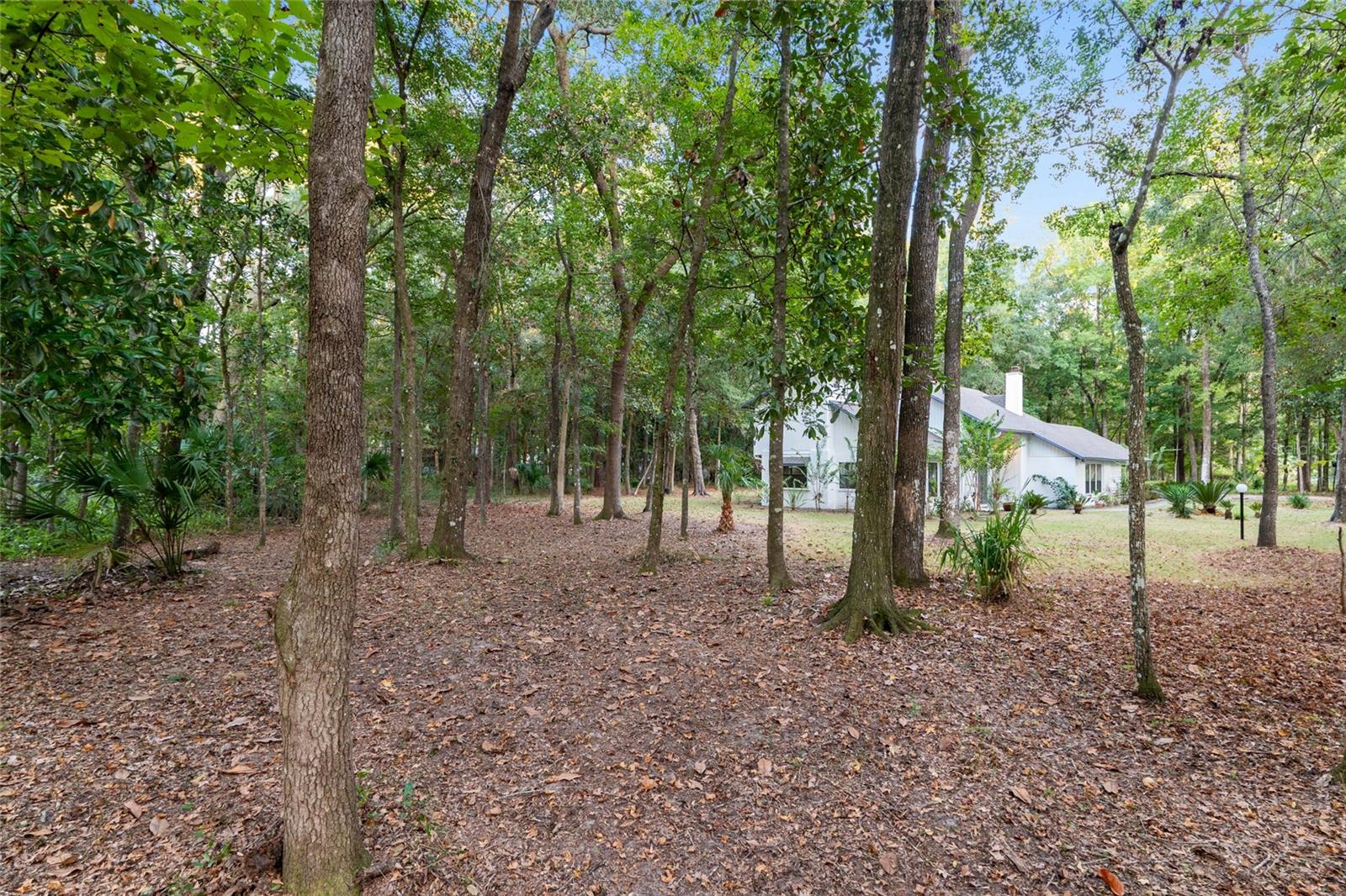 SPRING FOREST - Residential