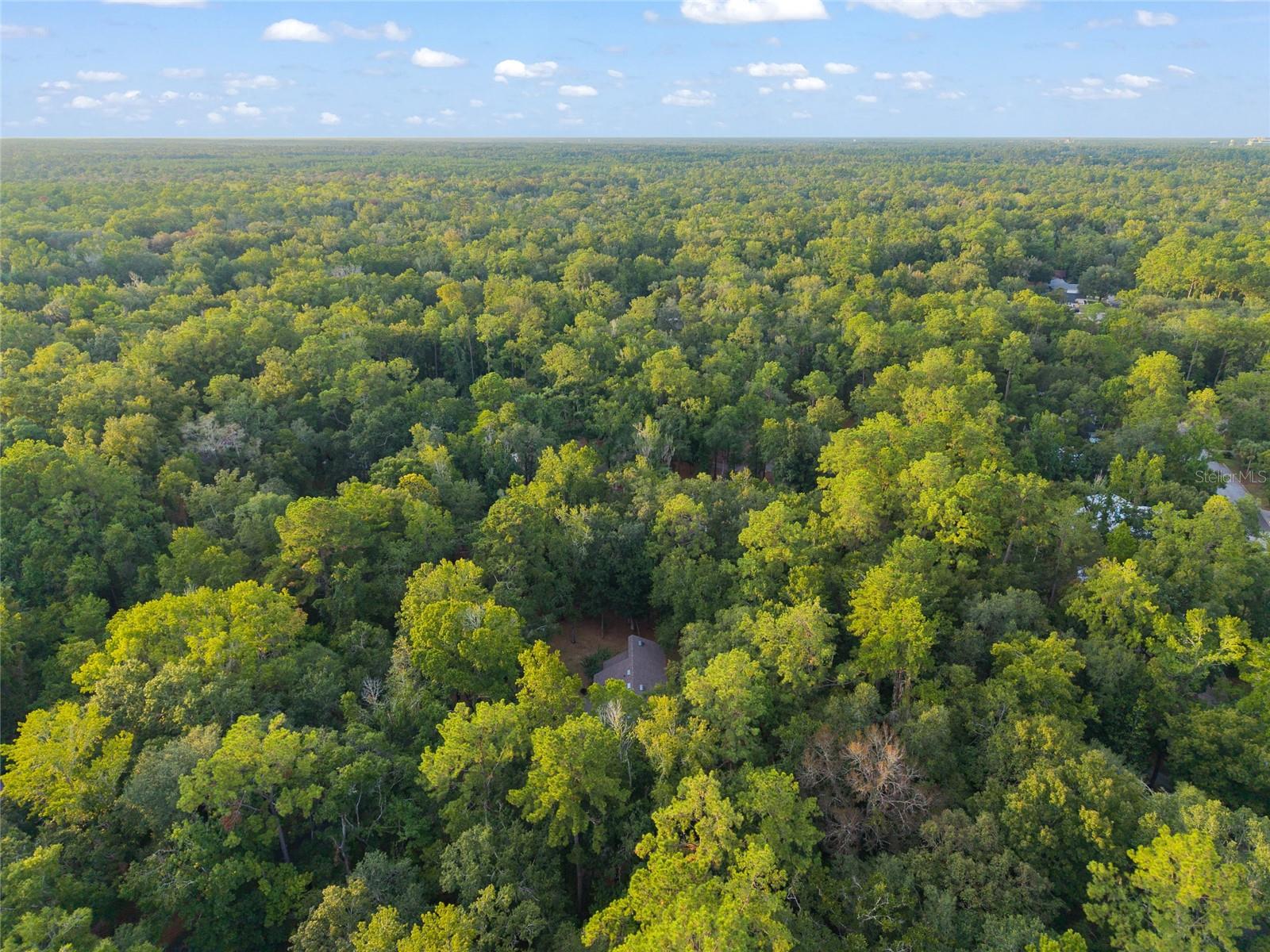 SPRING FOREST - Residential