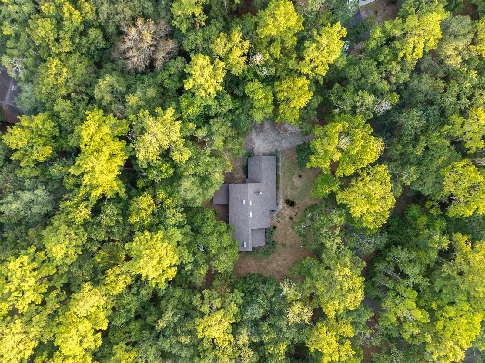 SPRING FOREST - Residential
