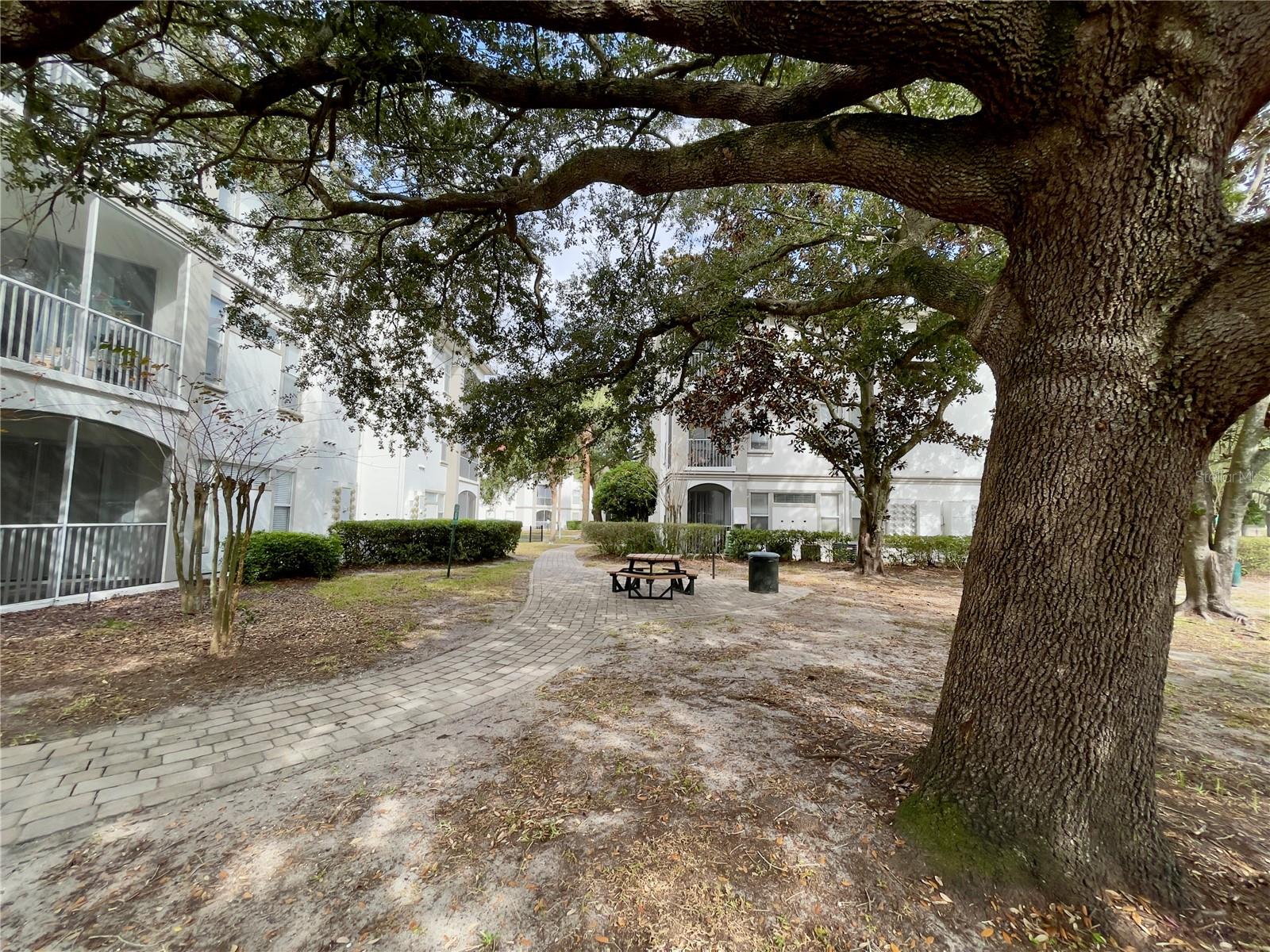 TERRA MIA COMMUNITY - Residential Lease