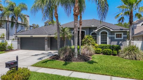Photo of 12919 Framingham Court, Tampa, FL 33626 (MLS # TB8498694)