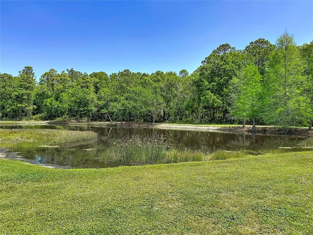 Photo of 12919 Framingham Court, Tampa, FL 33626 (MLS # TB8498694)