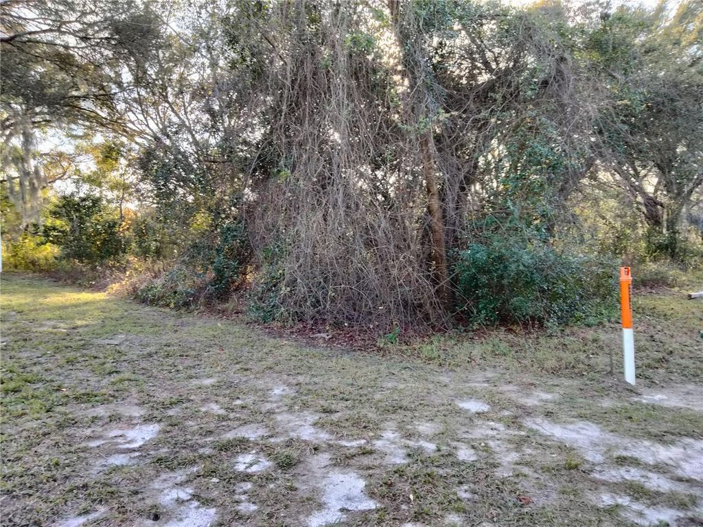 Photo of Sheeler Oaks Drive, Apopka, FL 32703 (MLS # O6337662)