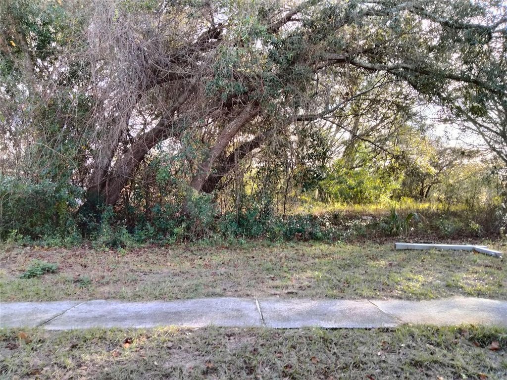 Photo of Sheeler Oaks Drive, Apopka, FL 32703 (MLS # O6337662)