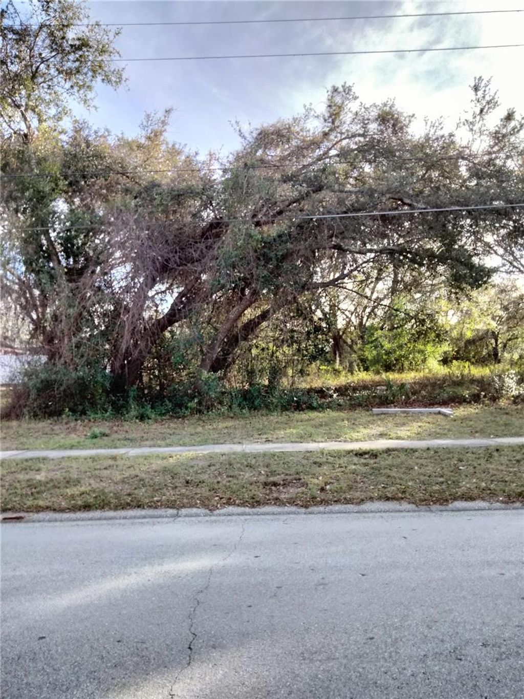 Photo of Sheeler Oaks Drive, Apopka, FL 32703 (MLS # O6337662)