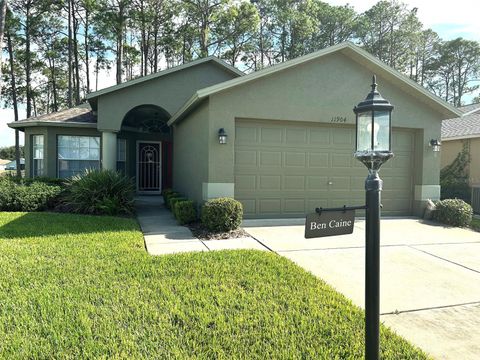 Photo of 11904 Aranda Court, Hudson, FL 34667 (MLS # TB8434640)