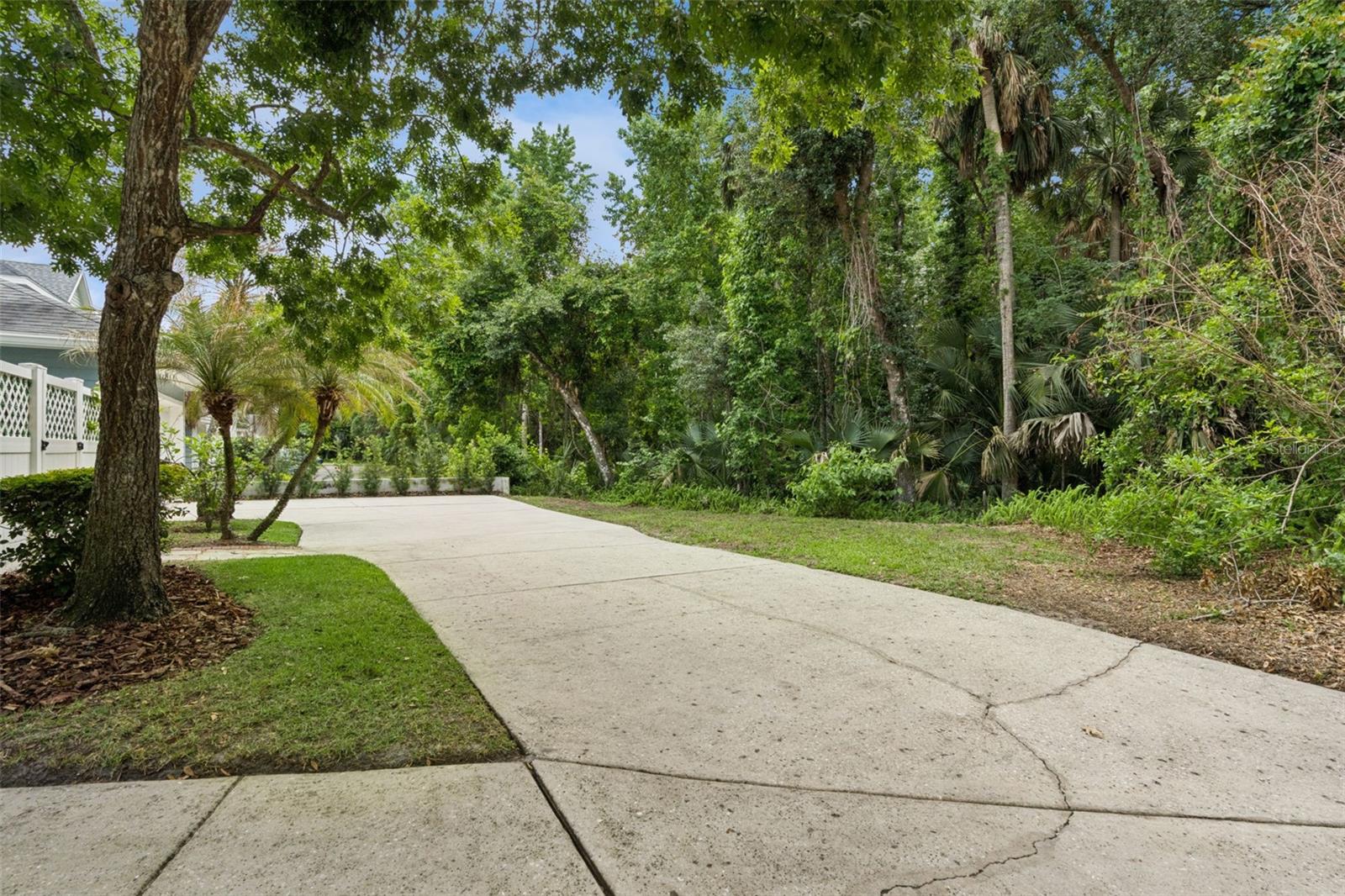 CELEBRATION LAKE EVALYN - Residential