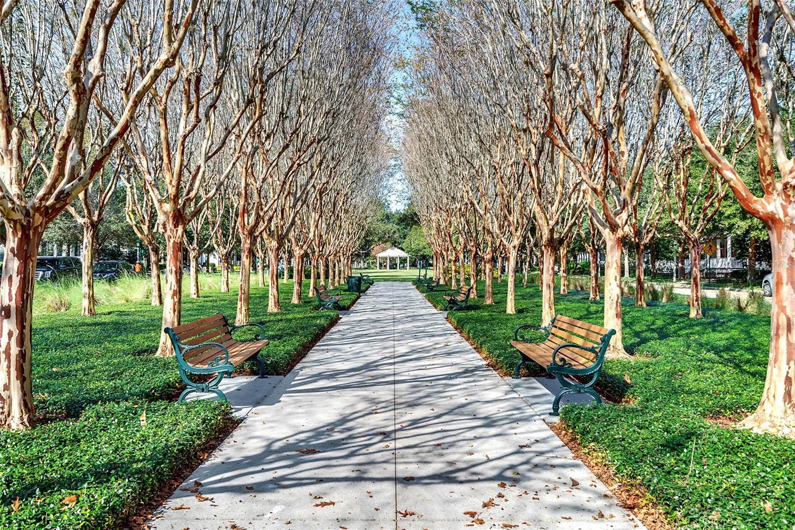 CELEBRATION LAKE EVALYN - Residential