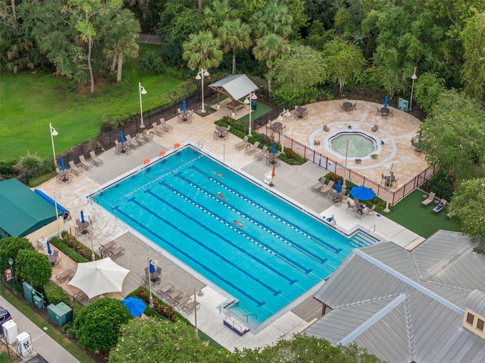 CELEBRATION LAKE EVALYN - Residential