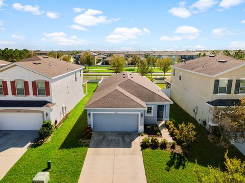 A home in RIVERVIEW