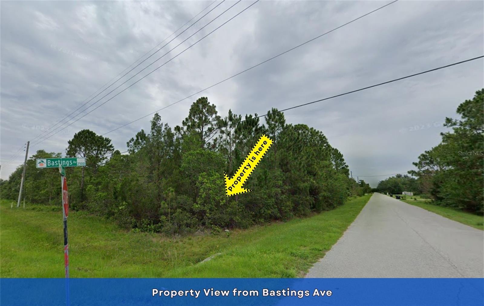 CAPE ORLANDO ESTATES - Land